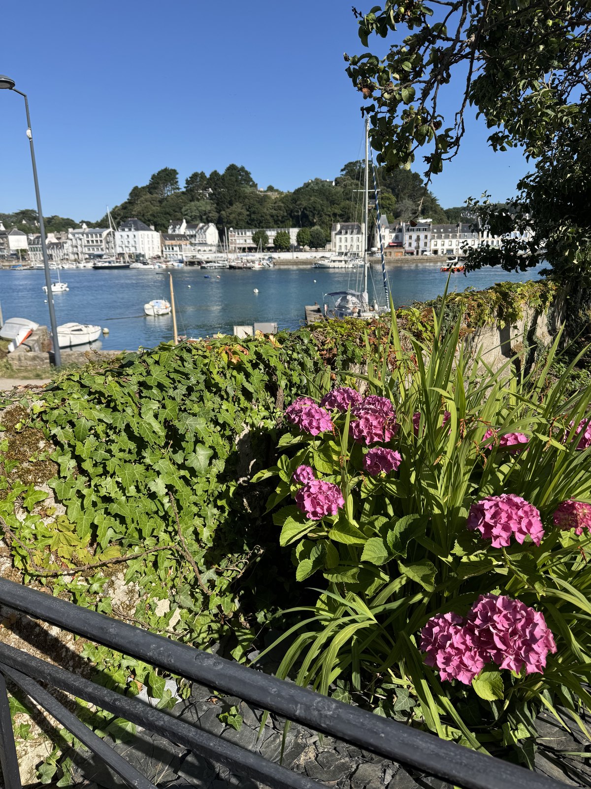 Jardin partagé face au port
